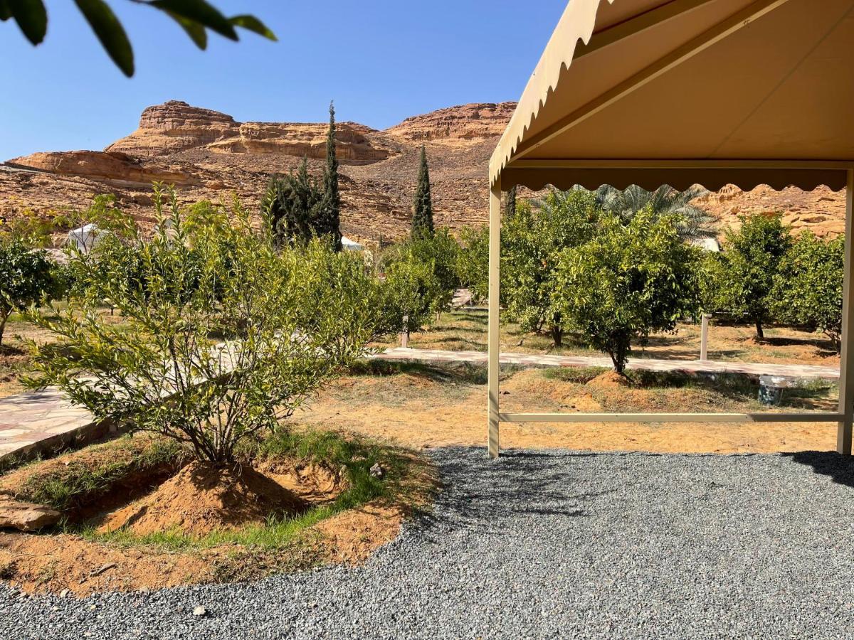 بيت ضيافة Naseem ,s Country النسيم الريفيhouse