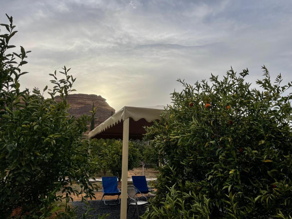 بيت ضيافة Naseem ,s Country النسيم الريفيhouse